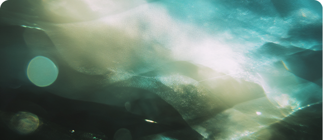 顧問・アドバイザリー